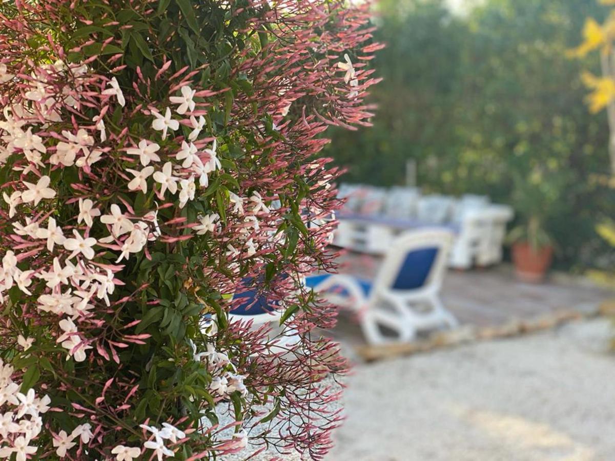 Lovely 2 Bed Apartment In Alcalalí Kültér fotó